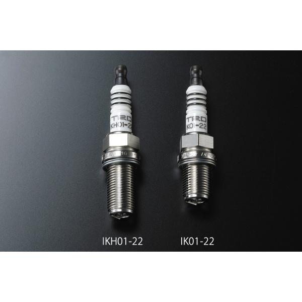 vigoras_10901-sp060-22