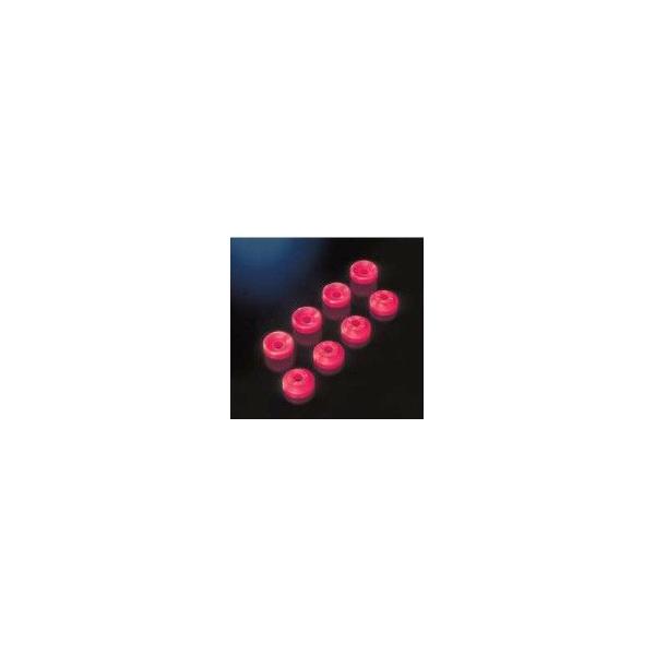 CUSCO(NXRjE^ubV@tgX^rNubV@AA[@X^[bg EP71 EP82