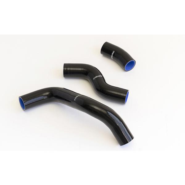 vigoras_12013301