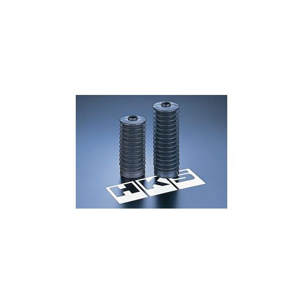 vigoras_82004-ak013