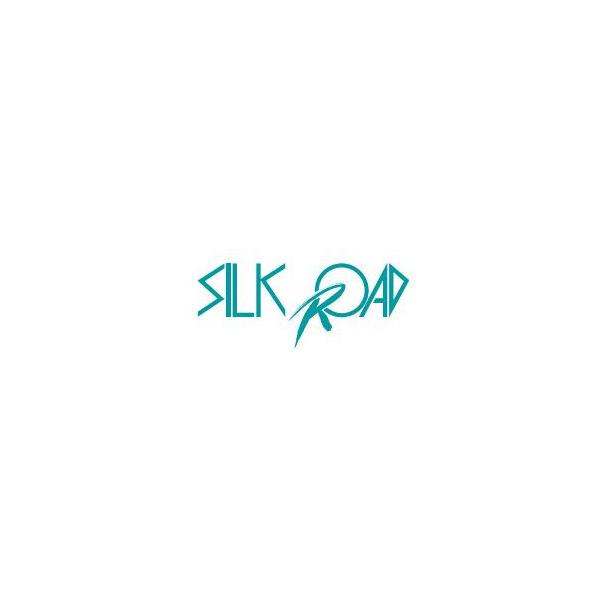 【SilkRoad/シルクロード】 リフトアップキット 増しリーフ単品 ハイゼットトラック,ピクシストラック,サンバートラック [821-AA3LF]