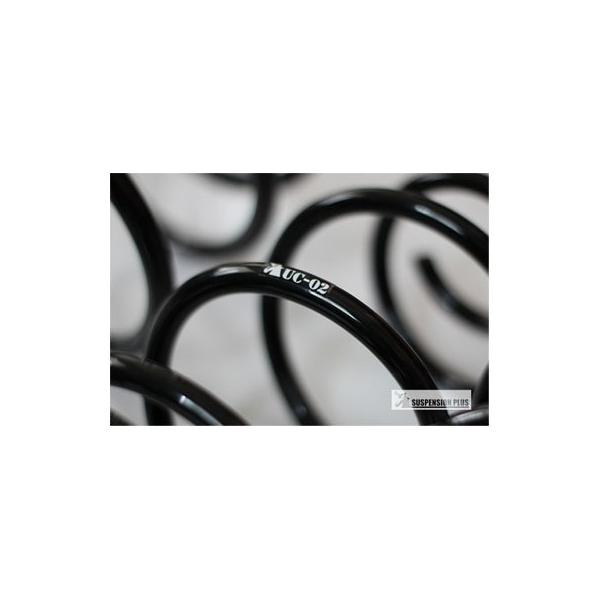 vigoras_sp-476-477-2