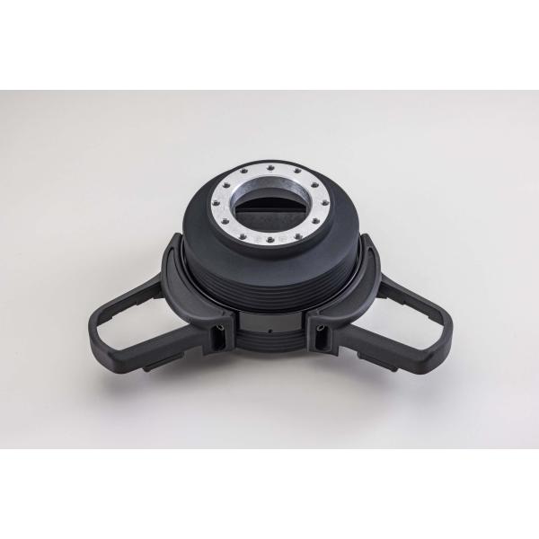 vigoras_srd-honda-d1s