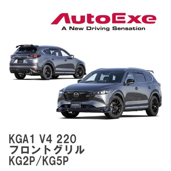 オートエクゼ 【AutoExe/オートエグゼ】 KG-07 スタイリングキット