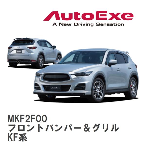 viigoras2_mkf2f00