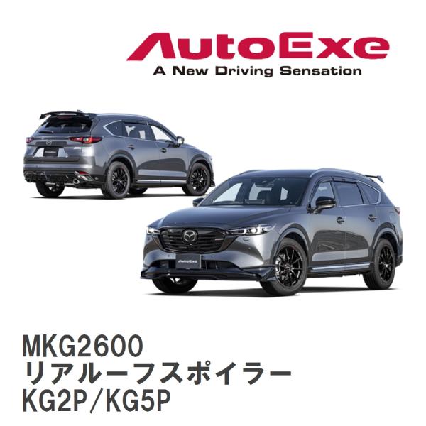 オートエクゼ 【AutoExe/オートエグゼ】 KG-07 スタイリングキット