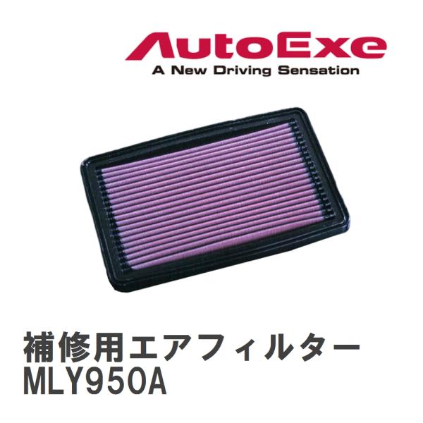 オートエクゼ 【AutoExe/オートエグゼ】 スポーツインダクション