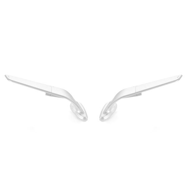 oCN rbg~[ RIZOMA ]} uStealthvXeX Vo[ z_ CBR1000RR-R / CBR1000RR 2017-19