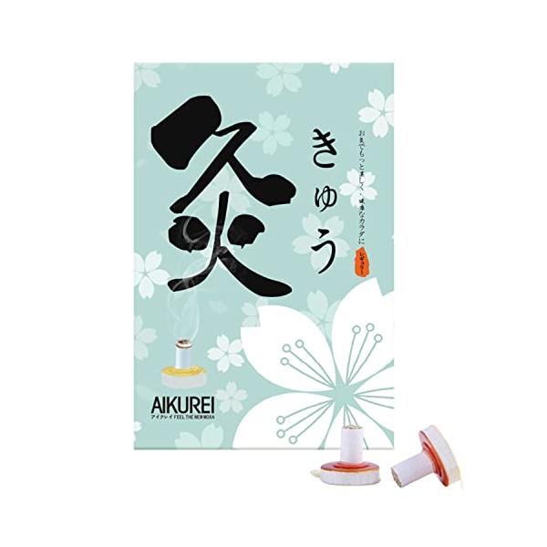 アイクレイ台座灸 200個入り レギュラー（温熱：約47度） お灸のAIKUREI