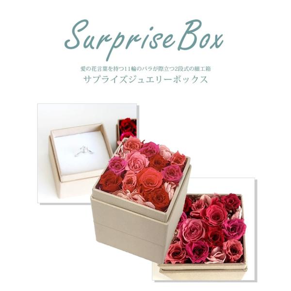 virgindiamond_21220661