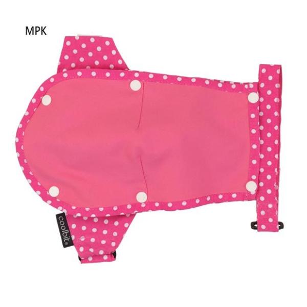 N[rbg Y fB[X ybgN[Gv M AEghApi ybgpi CPE01M