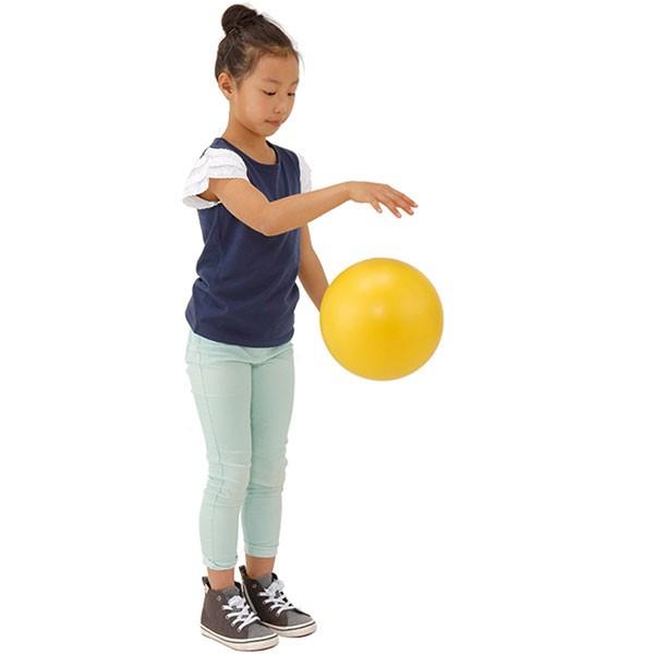 エバニュー ジュニア キッズ 体つくり運動ボール スポーツ用具