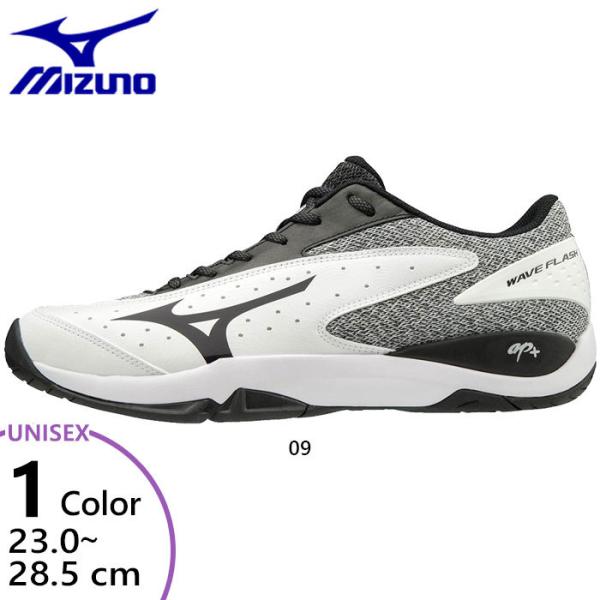 メンズ テニスシューズ オールコート ミズノの人気商品 通販 価格比較 価格 Com
