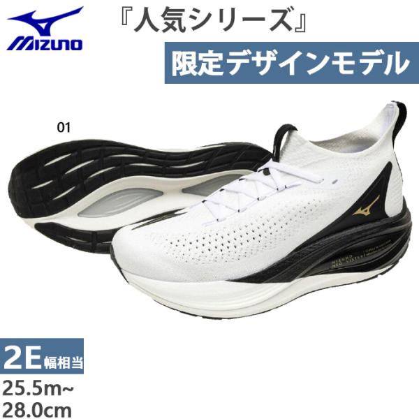 2312のみの販売になります。 MIZUNO（ミズノ） 2E幅 メンズ ウエーブライダー29 オリガミパック