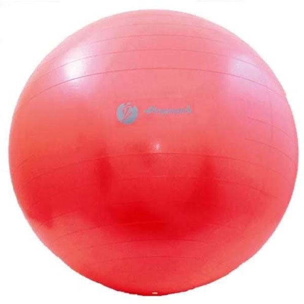 65cm x2 TNCf Y fB[X WjA oX{[ 싅pi K g[jO X|[c B ؃g ̊ tBbglX  TPT0268