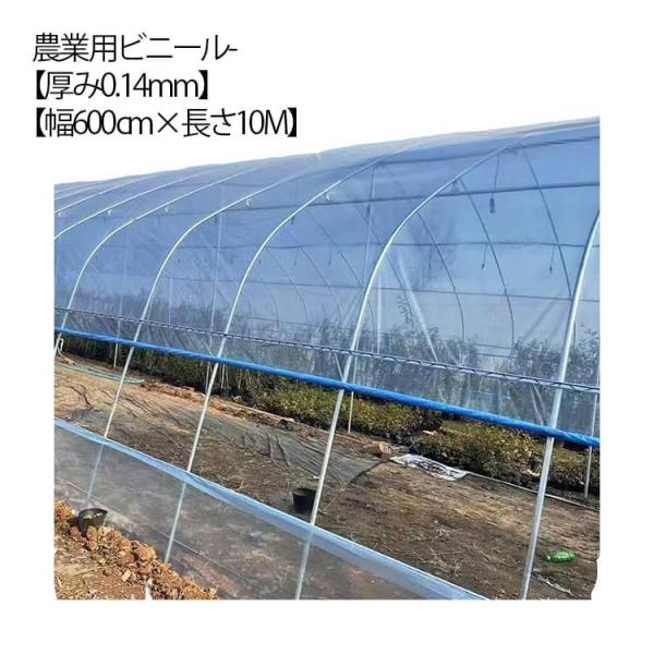 厚み0.14mm 幅600cm 長さ10m
