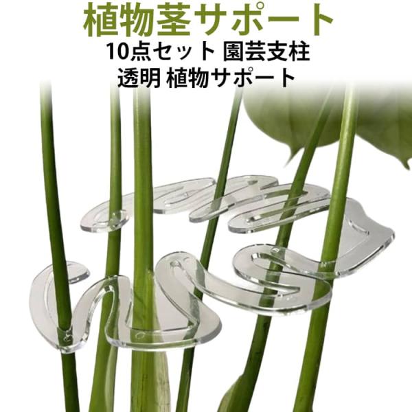 10点セット モンステラ 植物茎サポート 植物サポートステーク 支柱 美しい 透明 手で調整可能 植物をきちんと直立させます 農業用 再利用可能 10