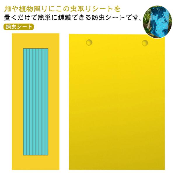 サイズ：10×15cm 10×20cm 15×20cm 20×25cm※サイズ計測には誤差が生じます。