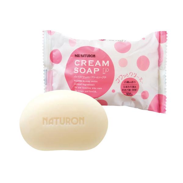 pbNXi`  N[\[v P@100g  (s[`)