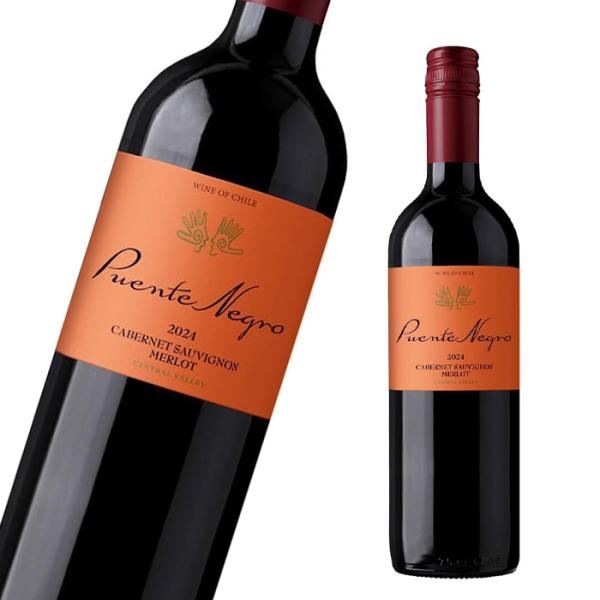 ワイン 赤ワイン プエンテ ネグロ 赤 チリ産 辛口 チリワイン WINE