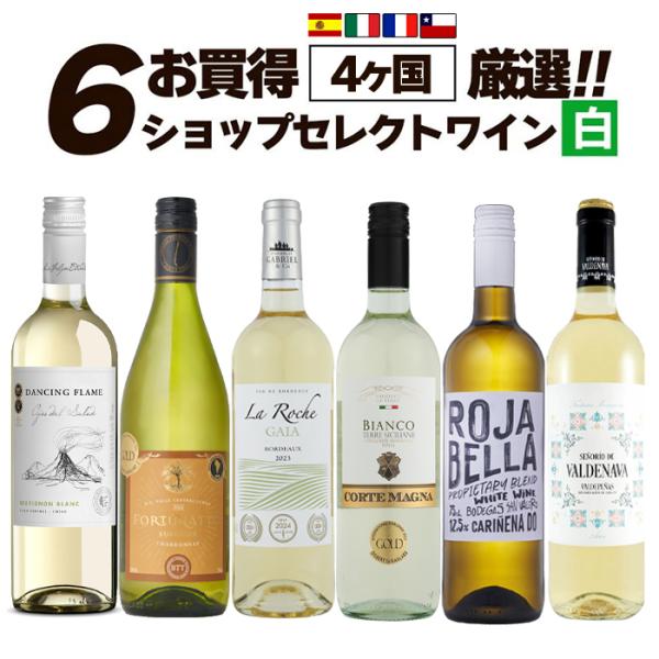 ワイン ワインセット お買い得 ショップセレクト 白ワイン 6本 辛口 白ワインセット お買い得 爆買 EV 0901