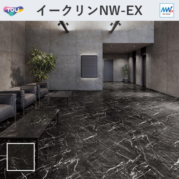 vivakenzai2_ect5006