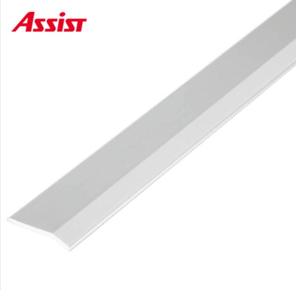 20-111S-1 穴無 定尺2.00M 本売り アシスト 現場配送不可 : ビバ