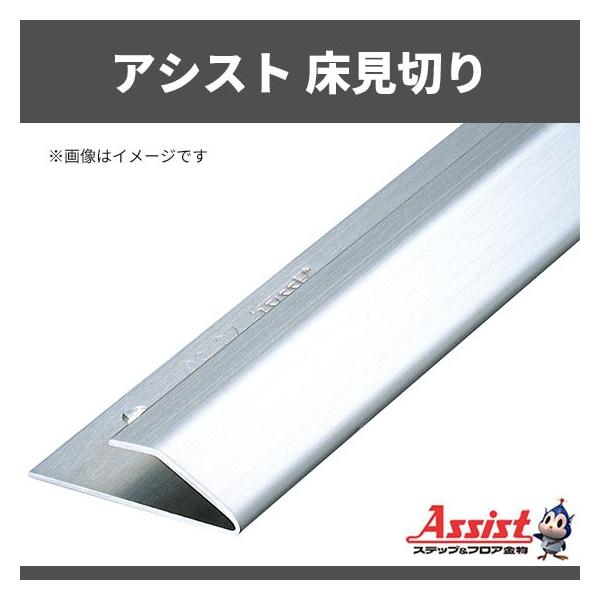 ؂ AVXg 20-304 L Pʃt[Jbg