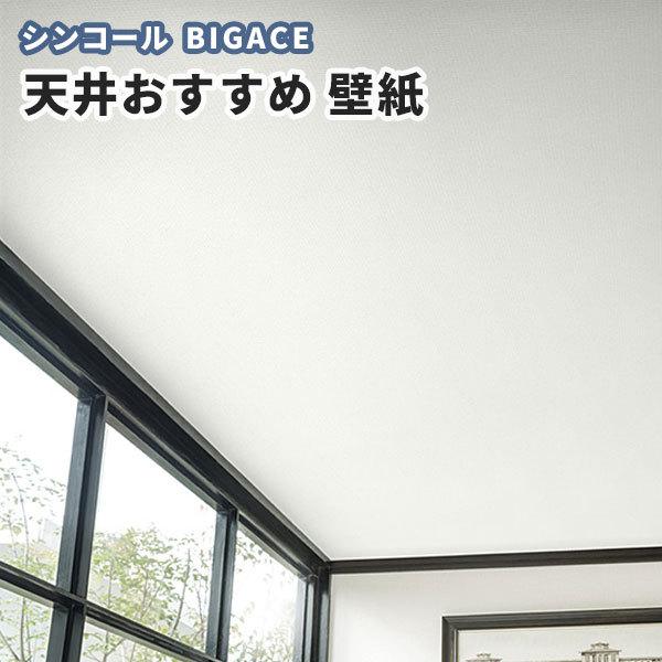天井壁紙 シンコール ビックエース クロス のり付き のりなし Ba5527 ビバ建材通販 通販 Paypayモール