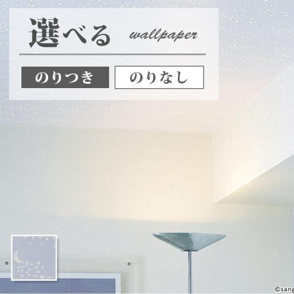 蓄光壁紙 夜空 星空 光る壁紙 子供部屋 のり付き のりなし サンゲツ ファイン クロス Fe ビバ建材通販 Paypayモール店 通販 Paypayモール