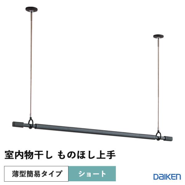 DAIKEN 【8月8日から16日出荷不可】 大建工業 収納 物干し 室内物干し