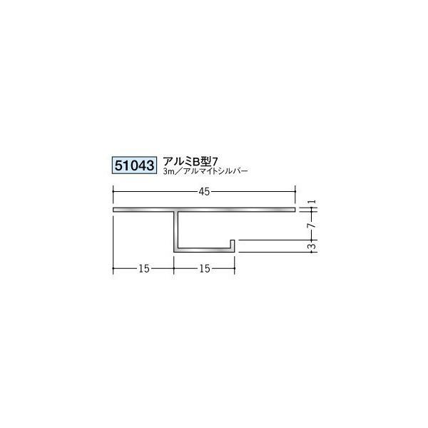 n A~V䌩؉ ړ^ A~B^7 3iiR[hF51043)