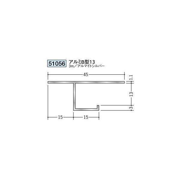 n A~V䌩؉ ړ^ A~B^13 3iiR[hF51056)