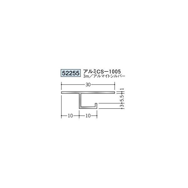 n A~V䌩؉ ړ^ A~CS-1005 3iiR[hF52255)