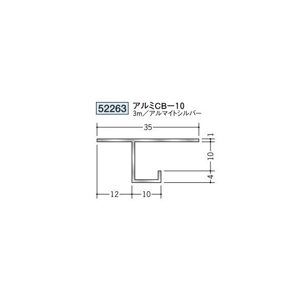 n A~V䌩؉ ړ^ A~CB-10 3iiR[hF52263)