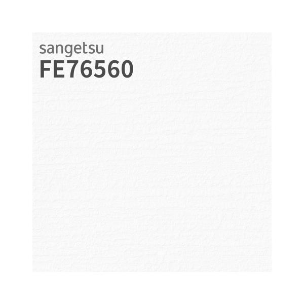 サンゲツ（SANGETSU） FE76560 壁紙 珪藻土 ふりまき壁紙 ホワイト系