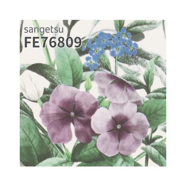 サンゲツ（SANGETSU） FE76809 壁紙 ナチュラル ボタニカル 植物園