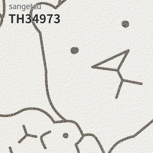 サンゲツ（SANGETSU） TH34973 壁紙 おしゃれ 補修 DIY リフォーム 貼