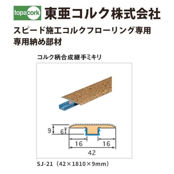 RN gbp[RN Xs[h{HRNt[Op [ߕ RNp~L SJ-21