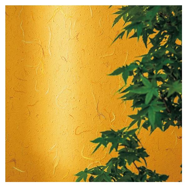 壁紙 和紙 紙 のりなし クロス おしゃれ シンコール ウォールプロ 1m単位販売 Sw4098 4101 Buyee 日本代购平台 产品购物网站大全 Buyee一站式代购 Bot Online