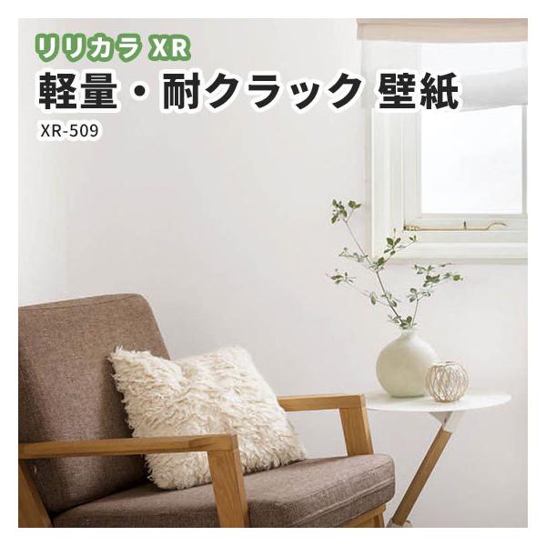�ǎ� �D���� �y�ʁE�σN���b�N �����J�� XR�N���X �̂�Ȃ� �̂�t�� �N���X XR-509