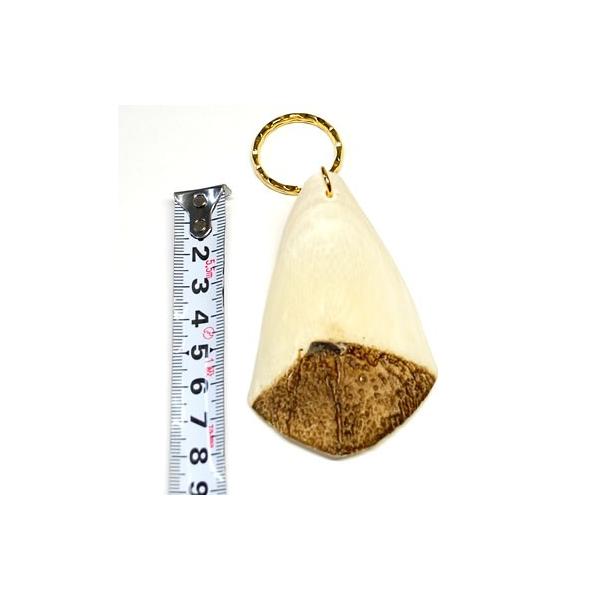 vivas_es-paiche-key6