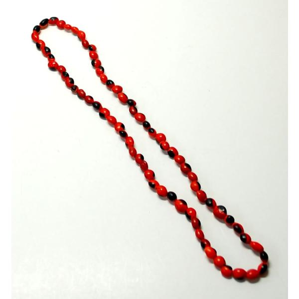 HUAIRURO NECKLACE】南米ペルーのお守り ワイルーロの実のネックレス1 