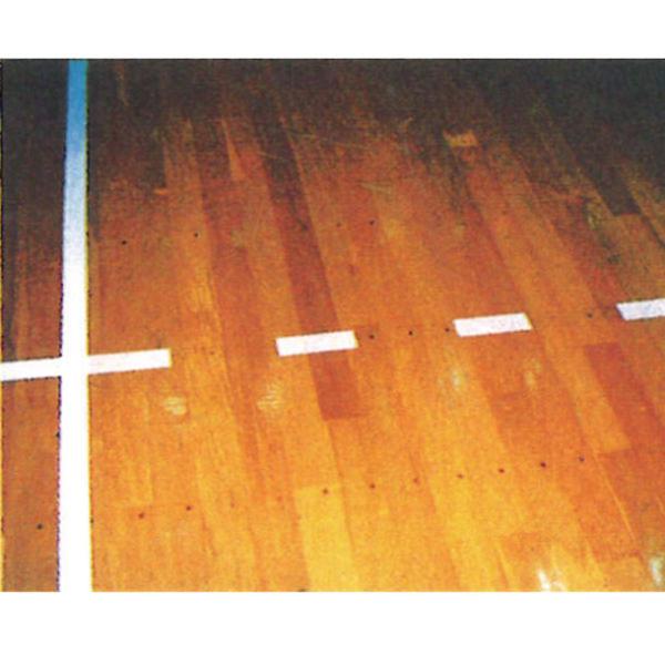 ミカサ mikasa 破線テープ バレーボール専用 学校機器 (PP510) :csv-pp510:ビバスポーツ ヤフー店 - 通販 -  Yahoo!ショッピング