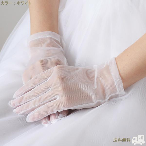 EGfBO O[u V[g I[KW[ 22cm uC_ { EGfBOO[u zCg ItzCg AC{[ ԉ G06