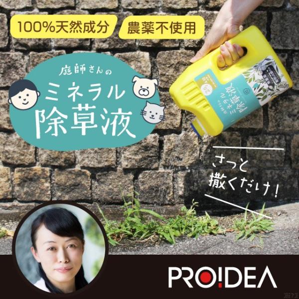   G | t ܂Ō͂炷 Q@t  G ͂炷 S Ő    t̃~lt