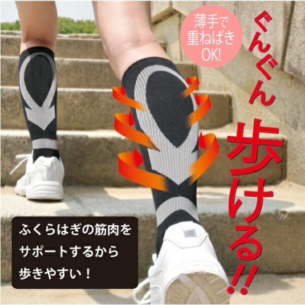  ӂ͂  T|[^[ \bNX T|[^[ \bNX e[sO Œ G EH[LO