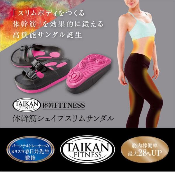 _CGbgXbp _CGbgT_ _CGbgV[Y fB[X Y NT_ NXbp