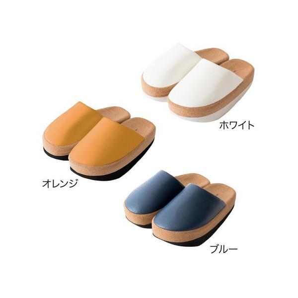 Xbp  g[jO g p̊  qbv ӂ͂   SlietXGbg