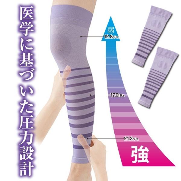 \bNX \bNX ނ݉ C T|[^[ DP ނݎ QƂ ӂ͂ ×p p 